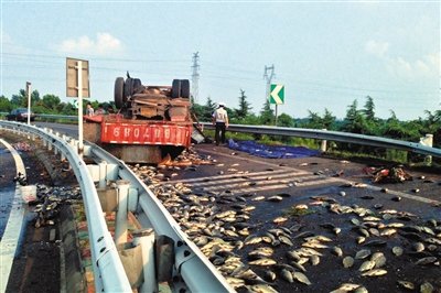 中国1/3国土进入“烧烤”模式 鸡蛋天然孵化(图)
